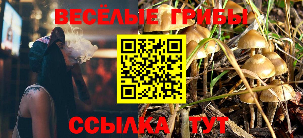 Псилоцибиновые грибы Psilocybine cubensis Прокопьевск